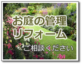 お庭の管理